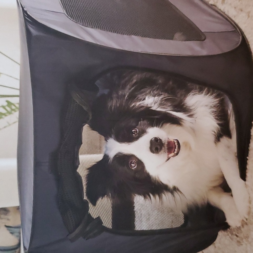 Pop-Up Pet Kennel